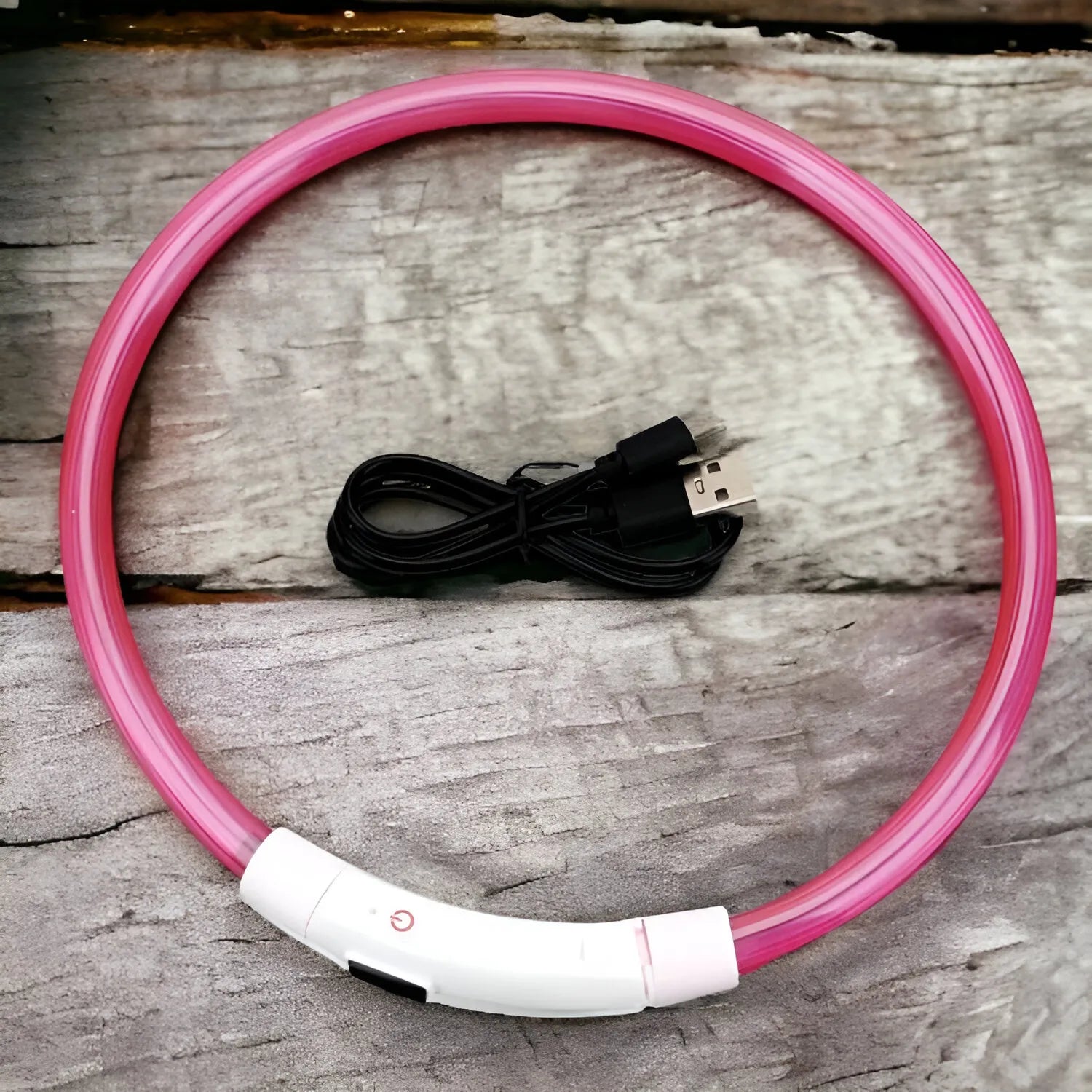 Collare Luminoso USB per Cani