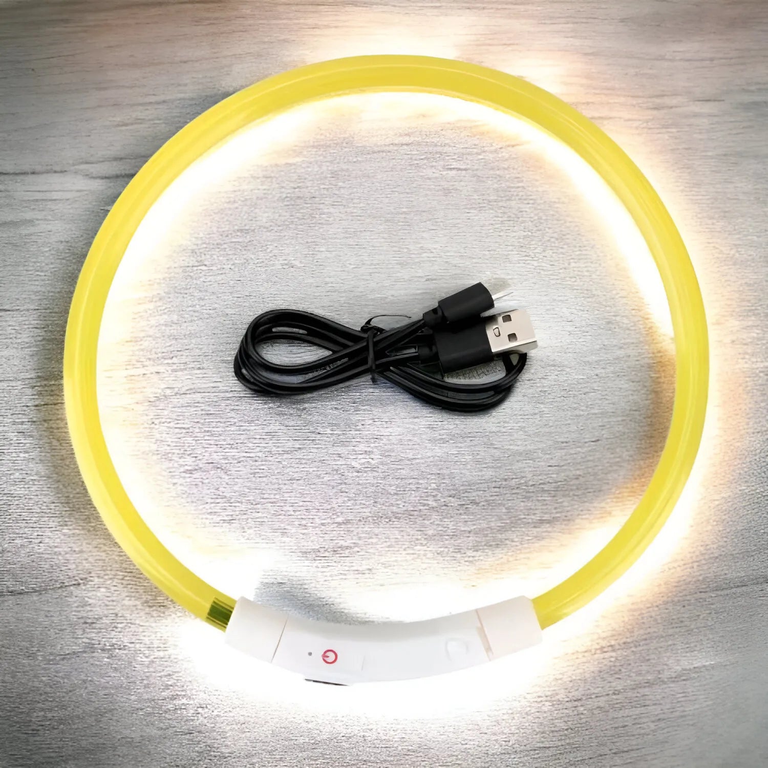 Collare Luminoso USB per Cani