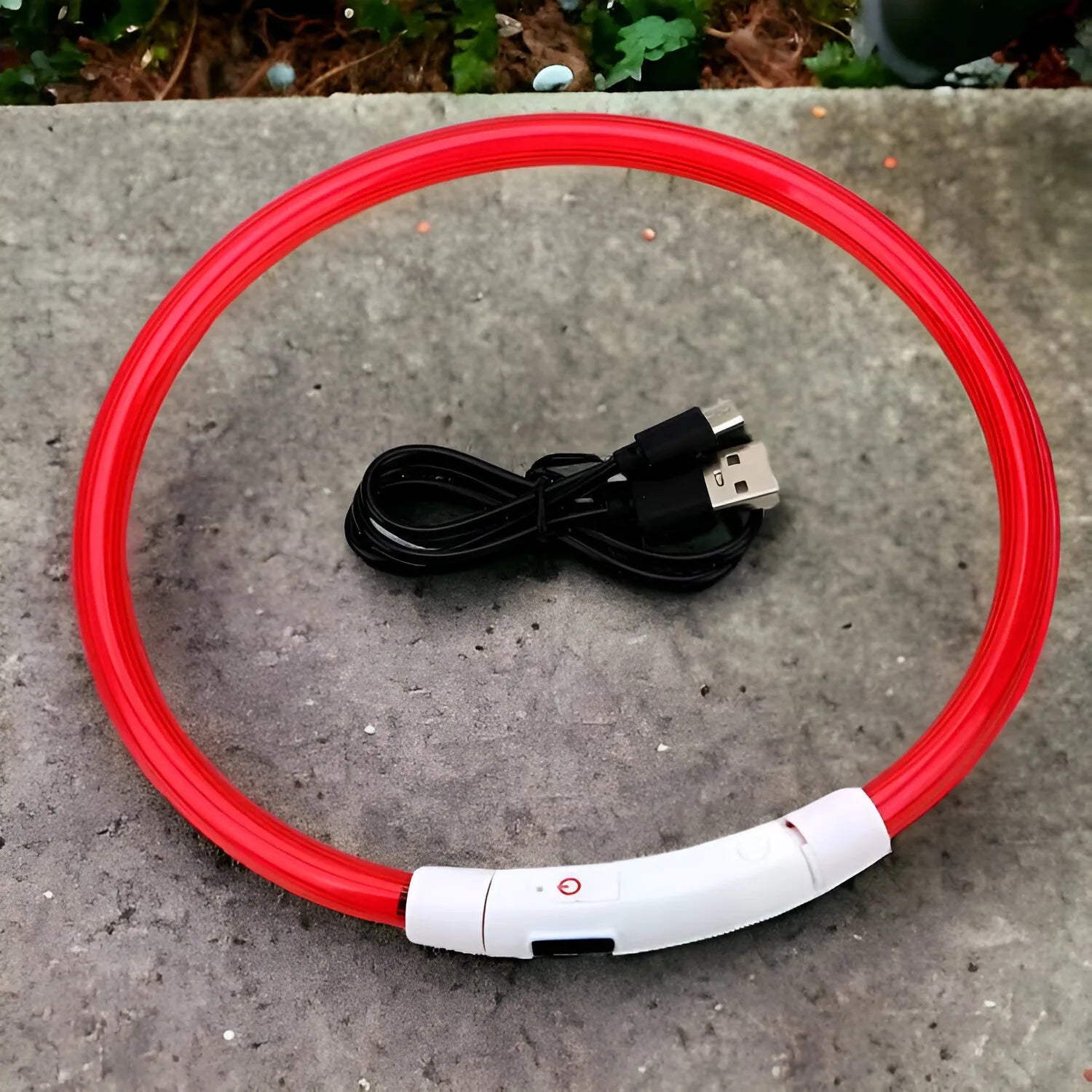 Collare Luminoso USB per Cani