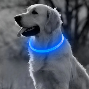Collare Luminoso USB per Cani