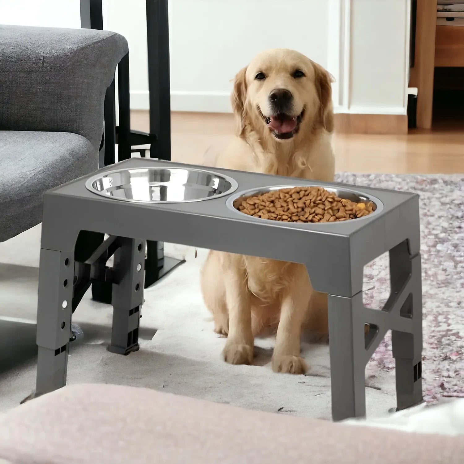 Mangiatoia Rialzata per Cani di Taglia Piccola e Media