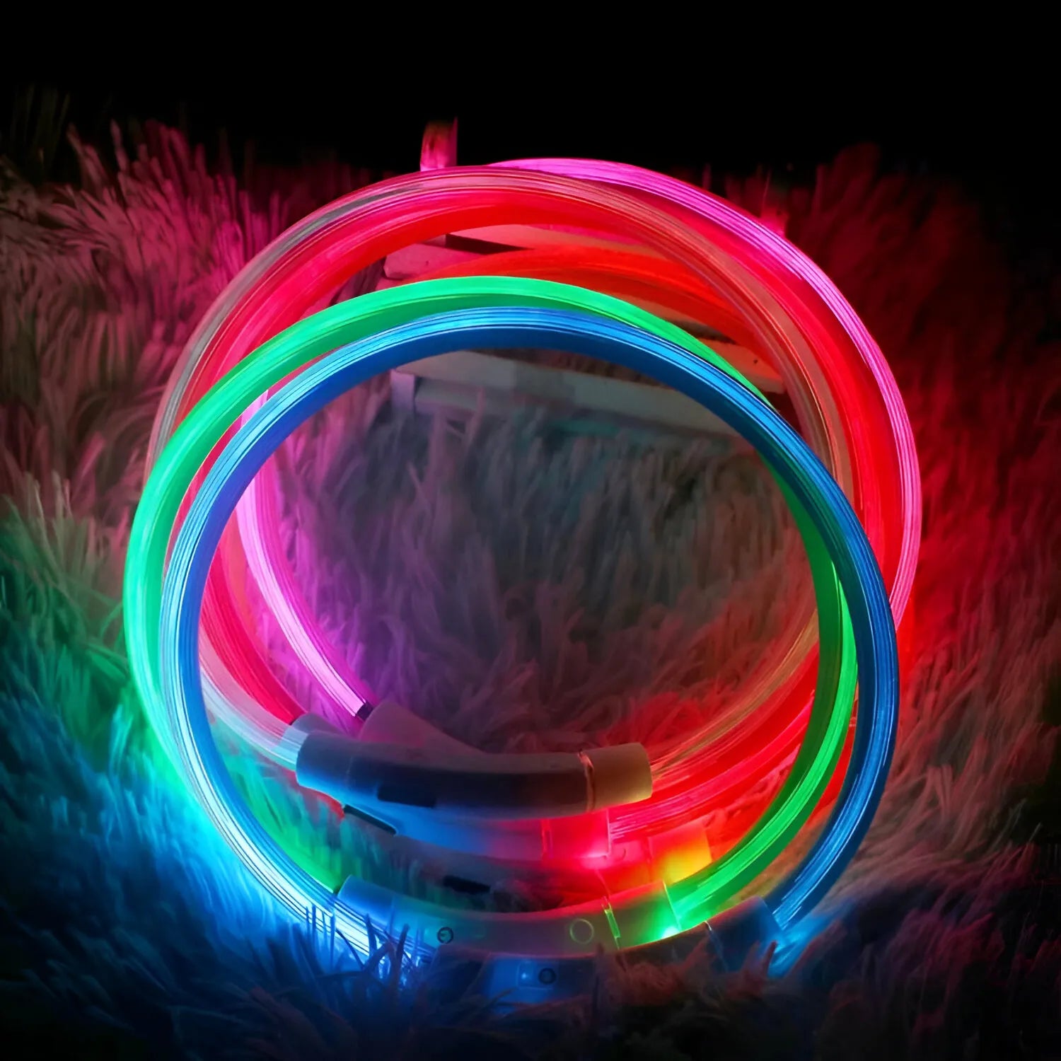 Collare Luminoso USB per Cani