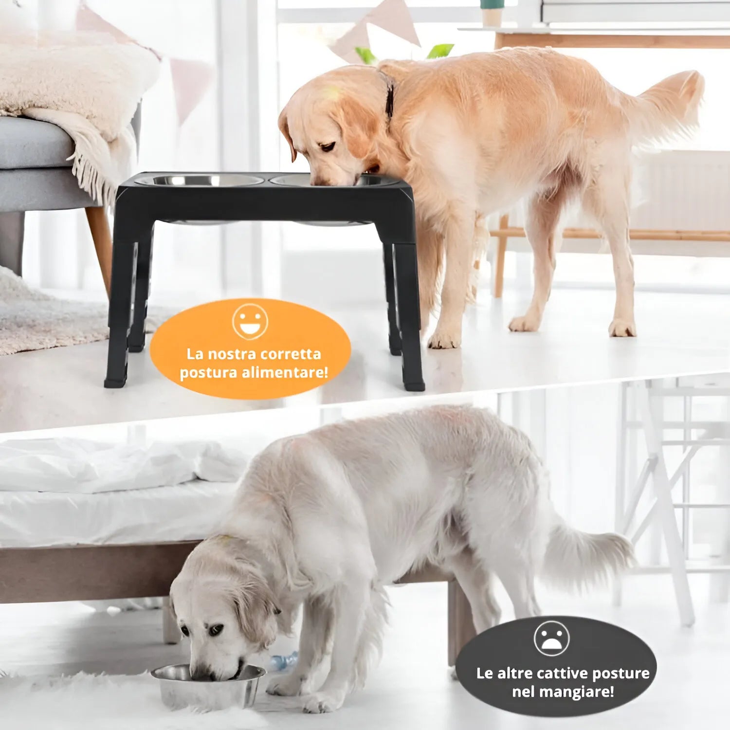 Mangiatoia Rialzata per Cani di Taglia Piccola e Media