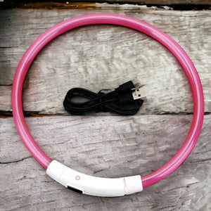 Collare Luminoso USB per Cani