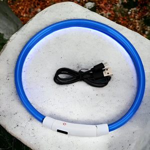 Collare Luminoso USB per Cani