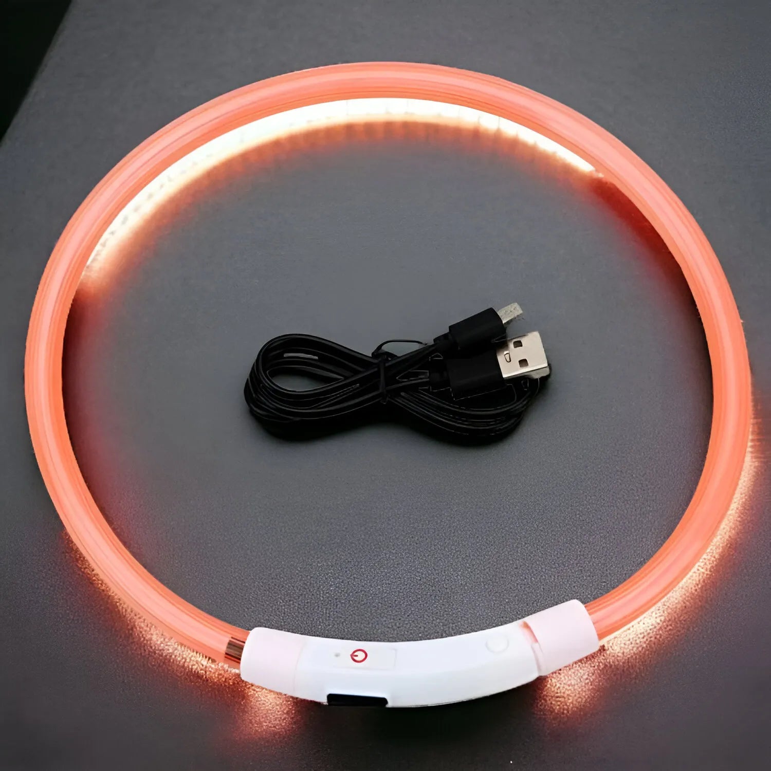 Collare Luminoso USB per Cani