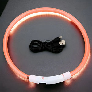 Collare Luminoso USB per Cani