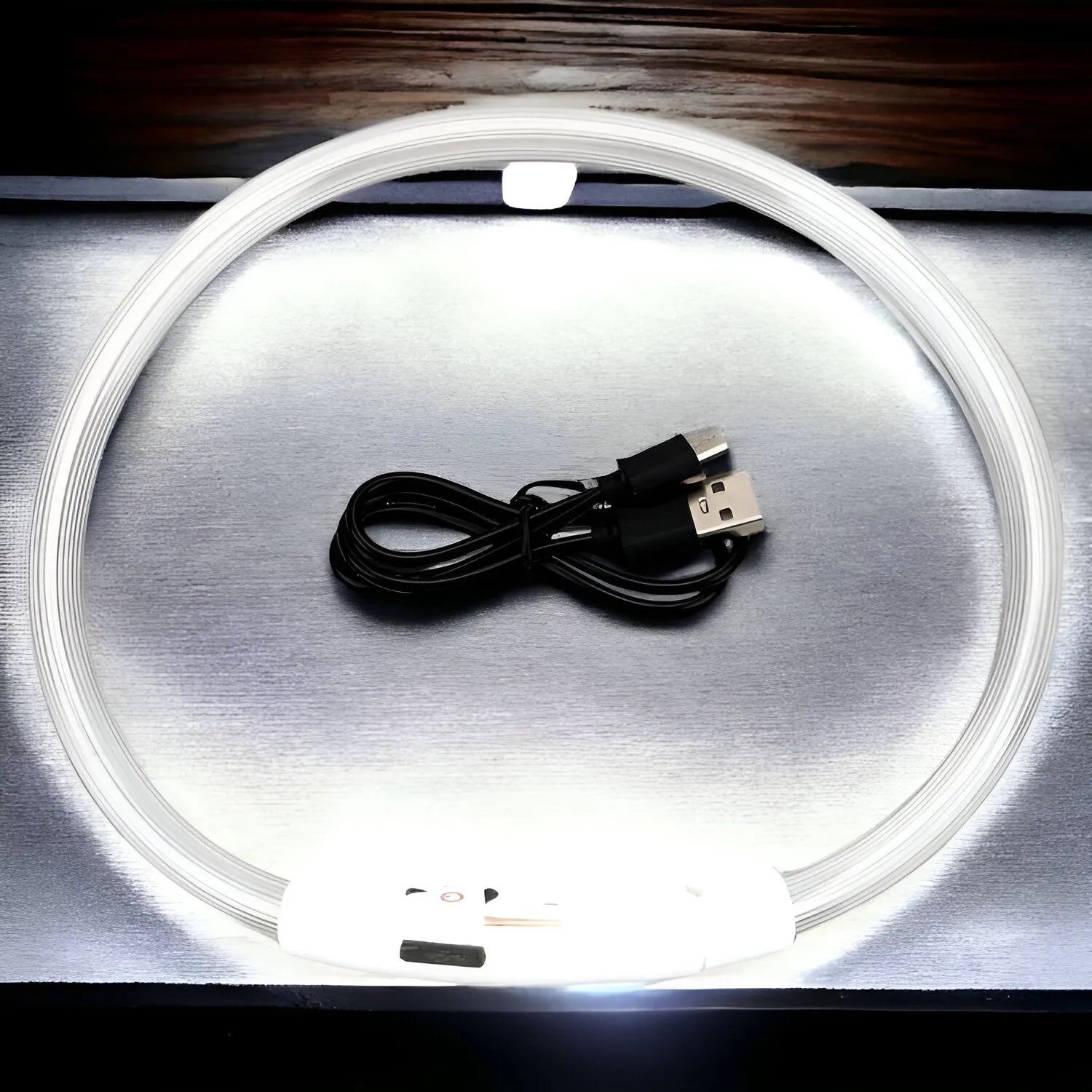 Collare Luminoso USB per Cani
