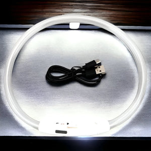 Collare Luminoso USB per Cani