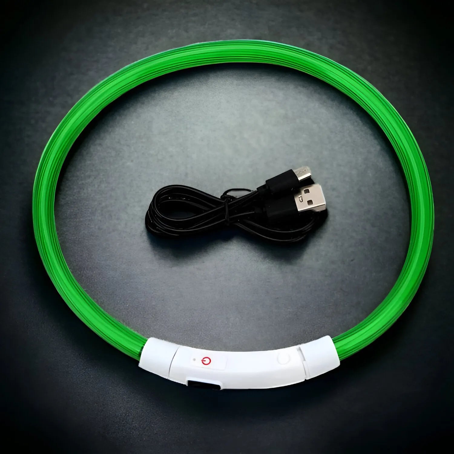 Collare Luminoso USB per Cani