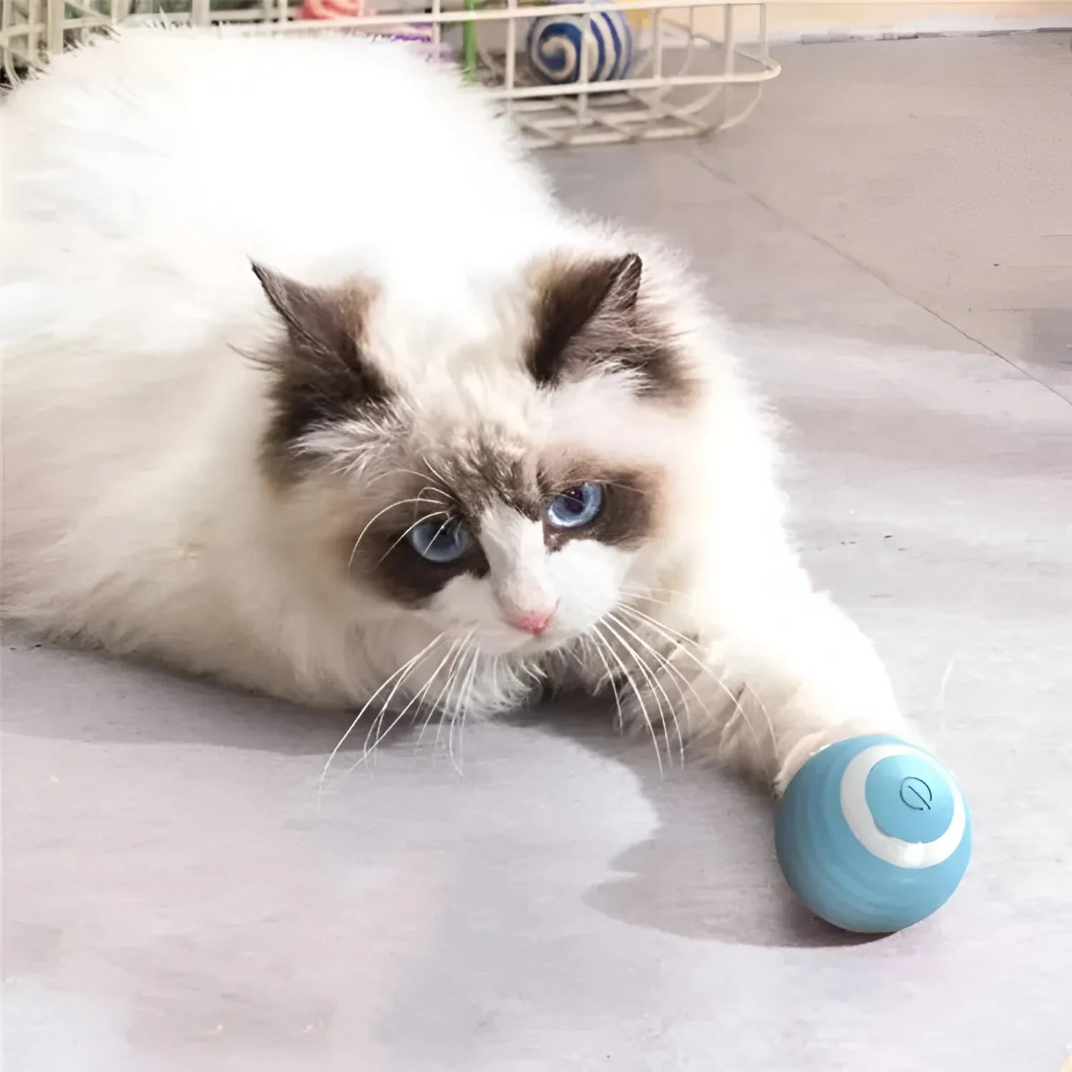 Palla Magica Interattiva per Cani e Gatti