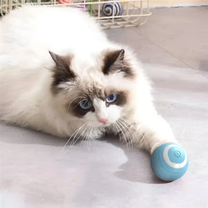 Palla Magica Interattiva per Cani e Gatti