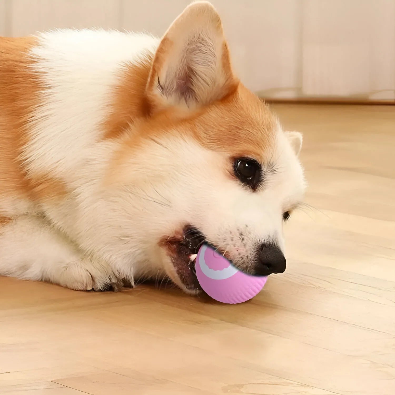 Palla Magica Interattiva per Cani e Gatti