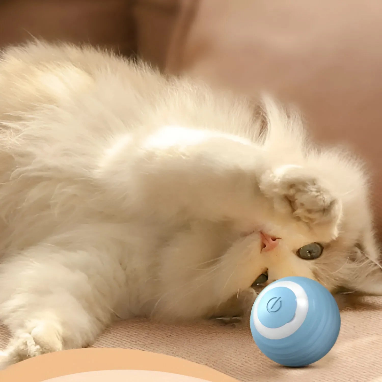 Palla Magica Interattiva per Cani e Gatti